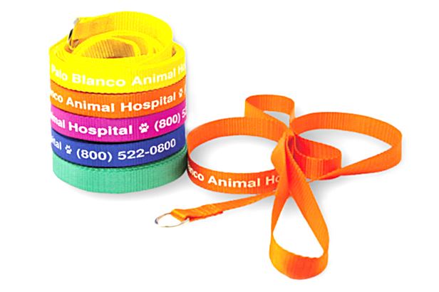 pet bowl